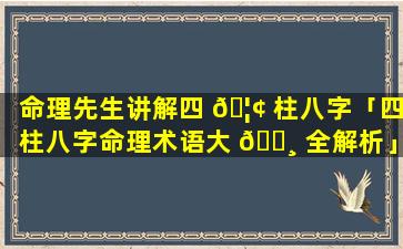 命理先生讲解四 🦢 柱八字「四柱八字命理术语大 🌸 全解析」